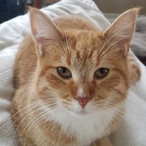 Meet your Posher, Karen